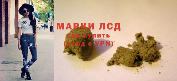 трава Аркадак