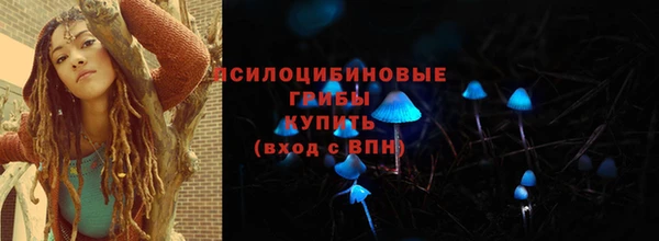 трава Аркадак