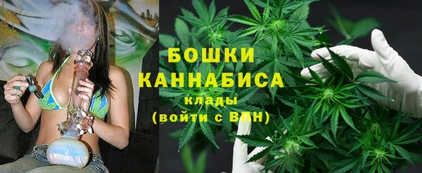 трава Аркадак