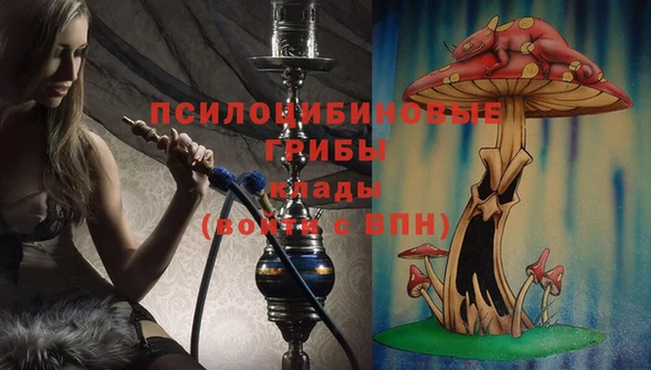 крисы Арсеньев