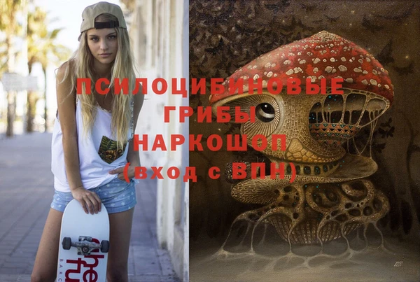 трава Аркадак